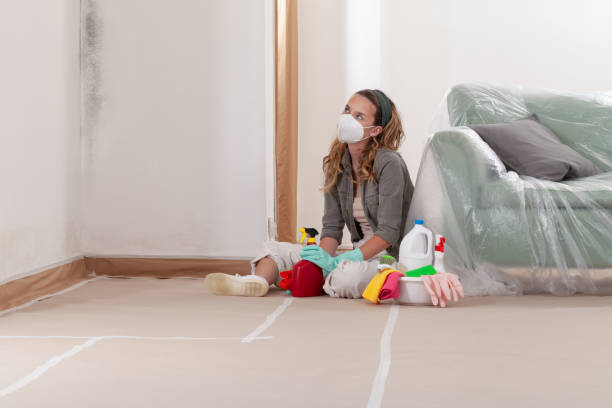 Reliable Mold Cleanup contractor in Somerville, NJ by Cheap Mold Removal